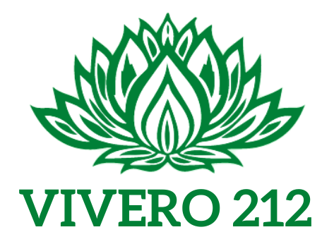 cropped-VIVERO-212-3